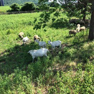 Meet your Posher, Jeff